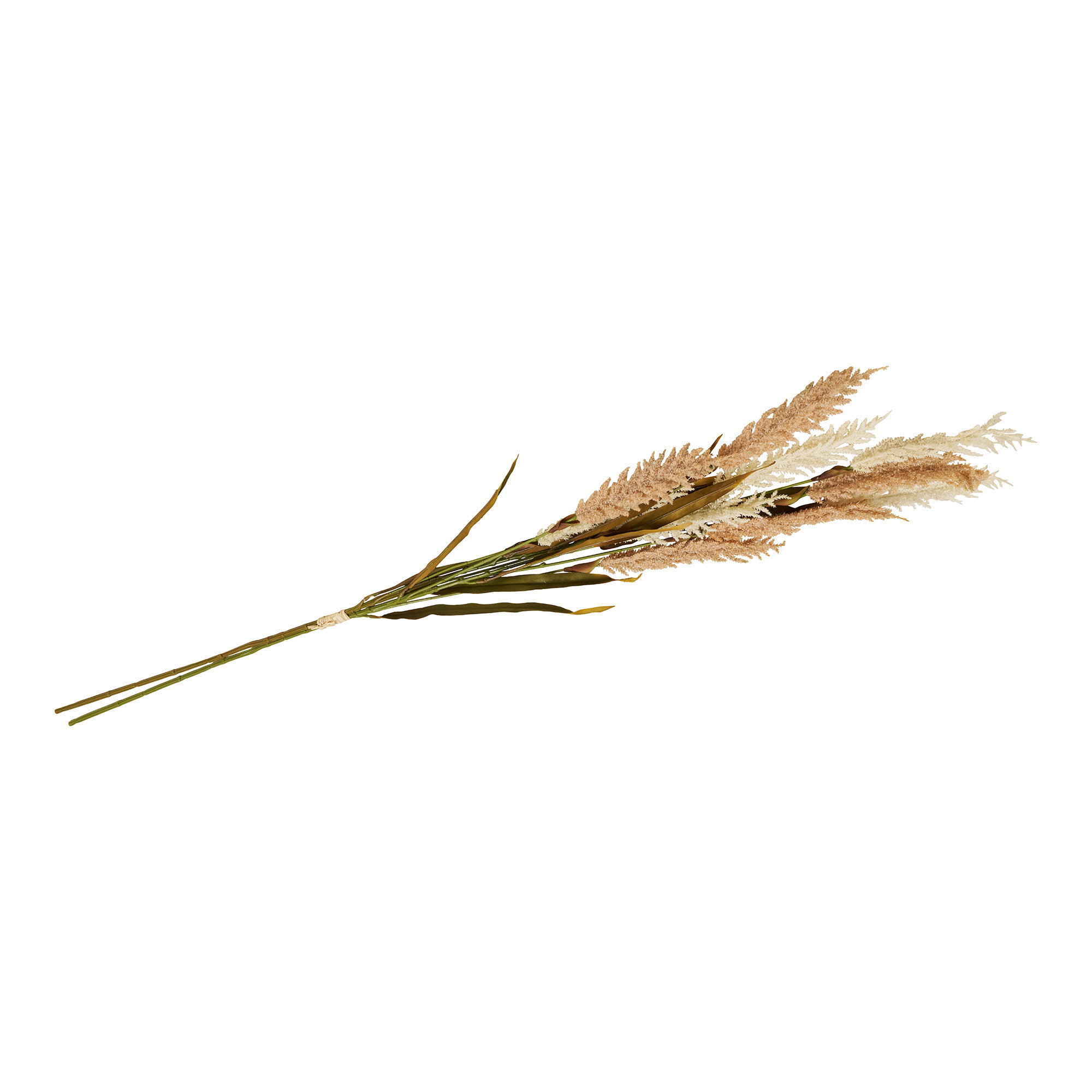 Decoratief Gras