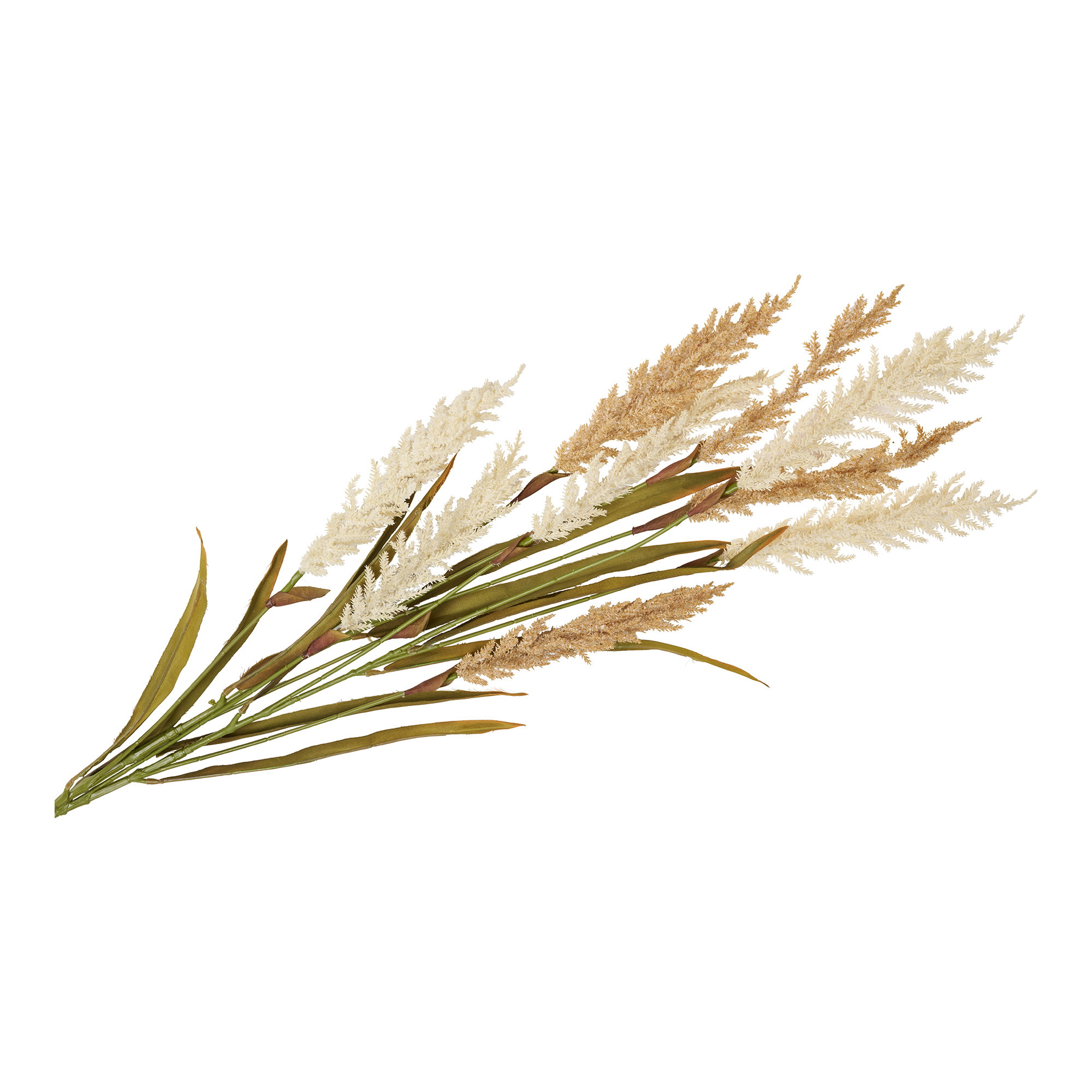 Decoratief Gras