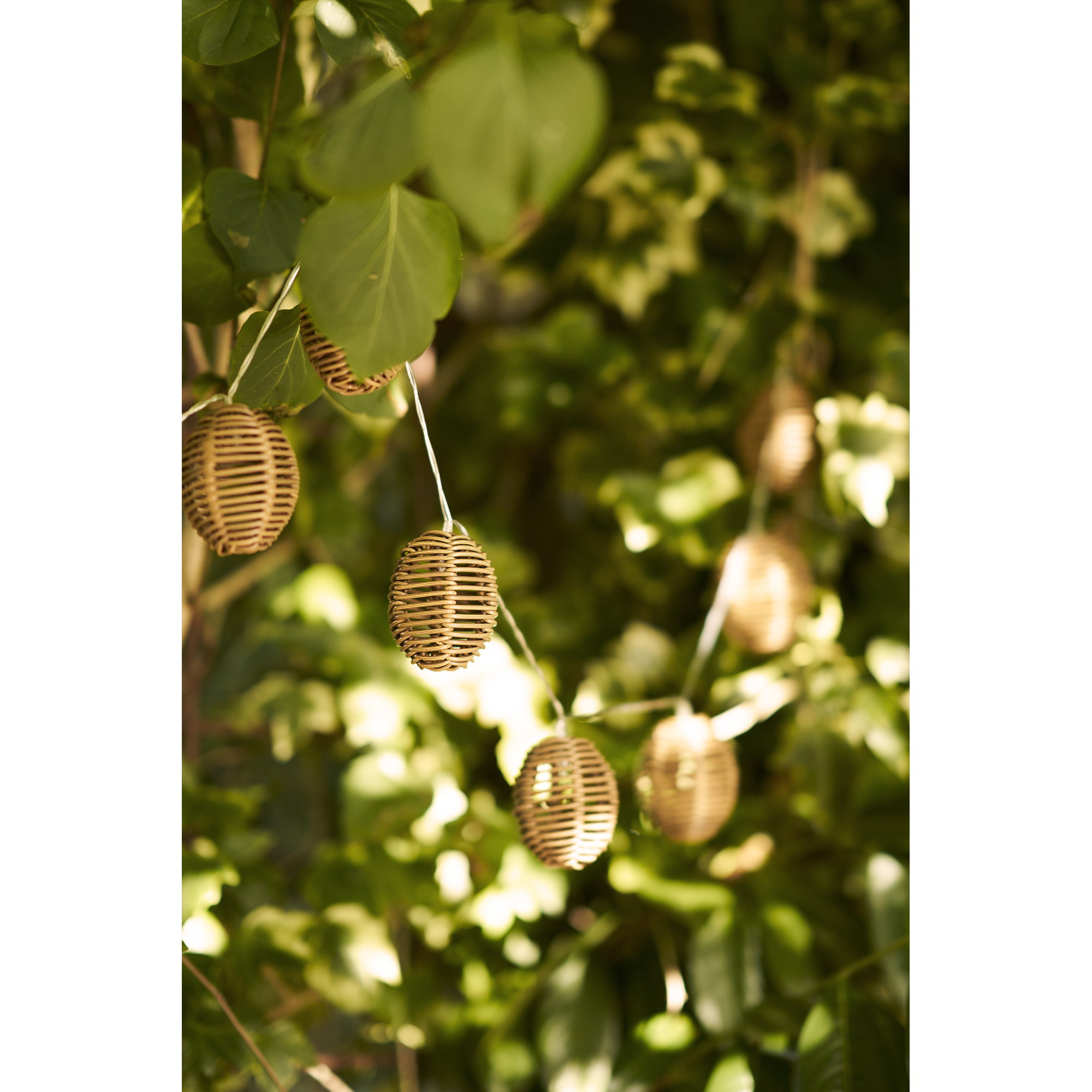 Carlisle LED Lichtketting