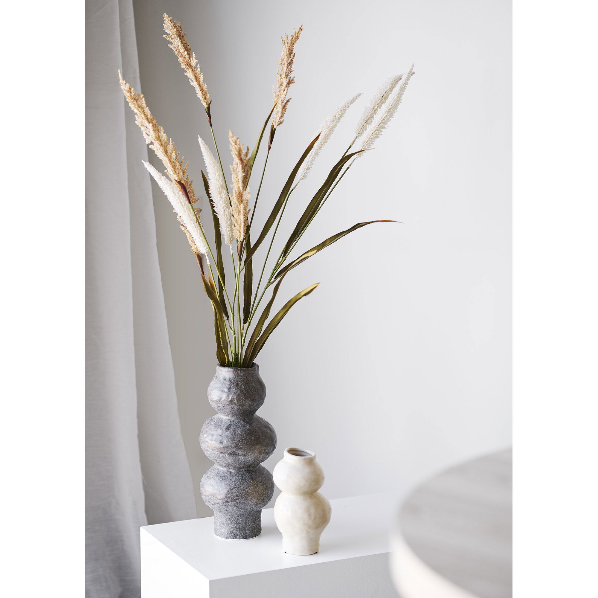 Vaas