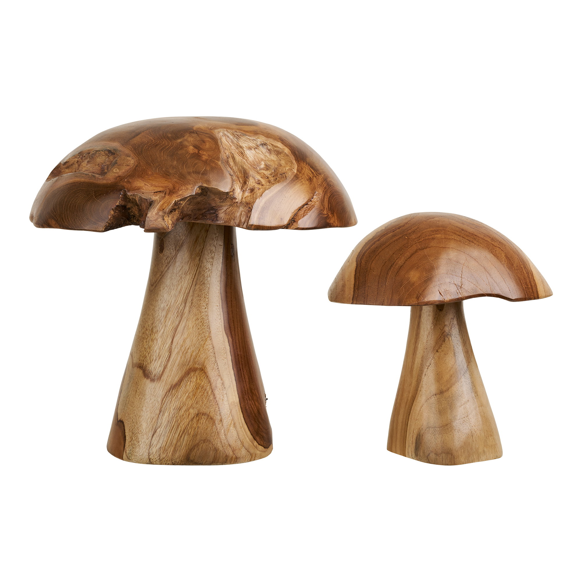 Kodi Paddenstoelen