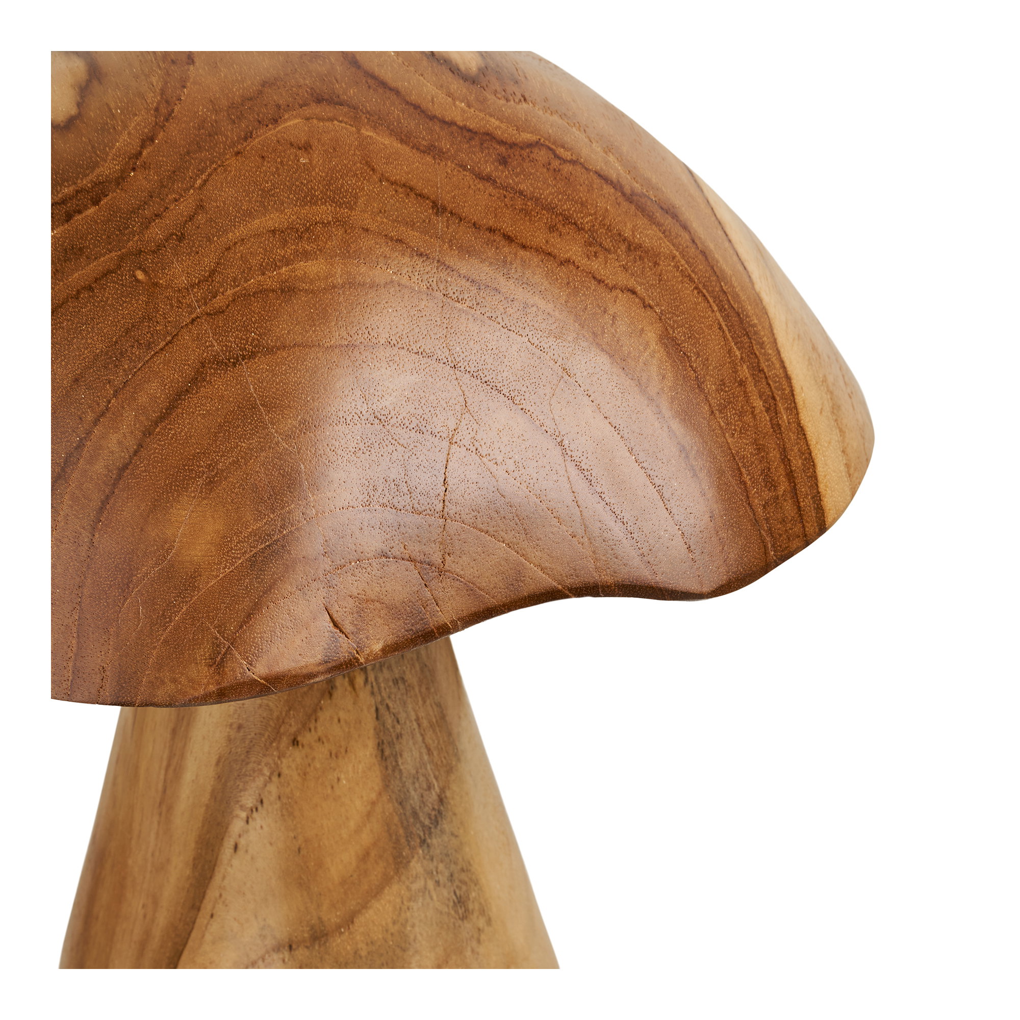 Kodi Paddenstoelen