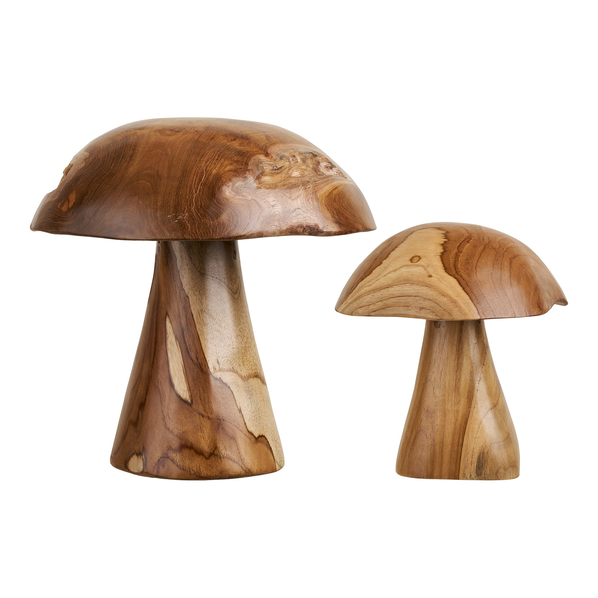 Kodi Paddenstoelen