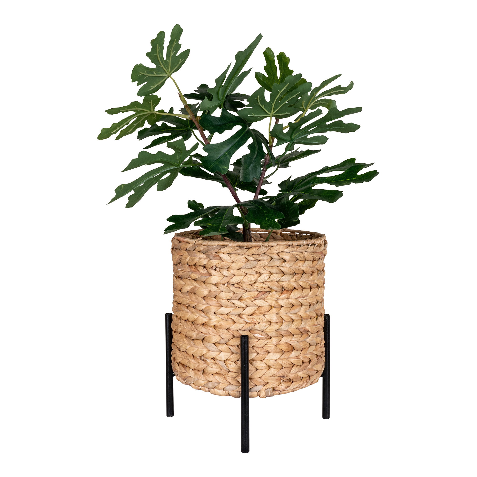 Antas Bloempot