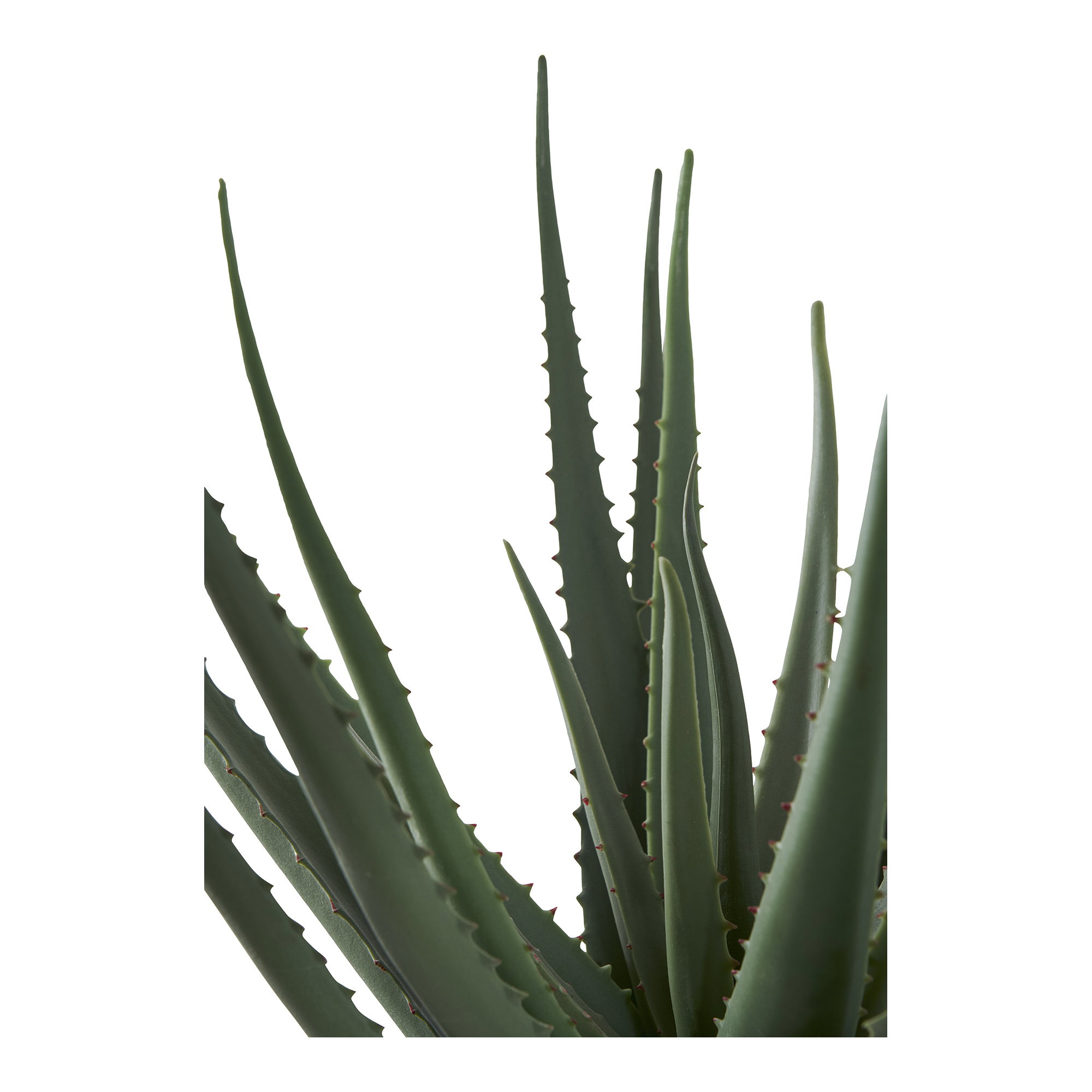 Aloë Vera Kunstplant