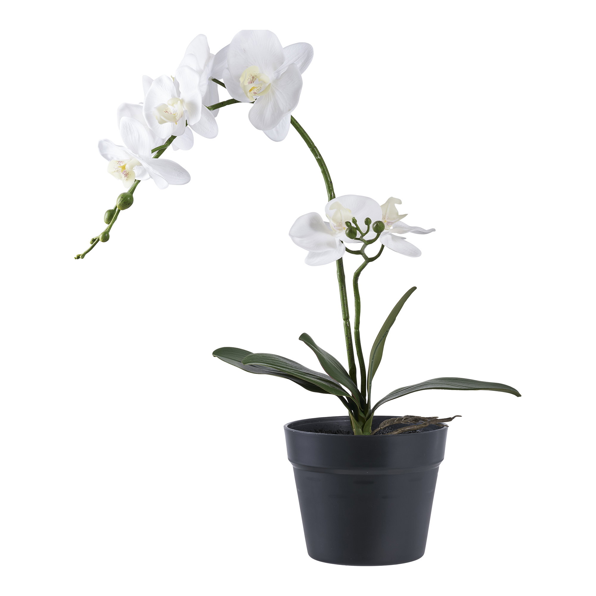 Orchidee Kunstplant