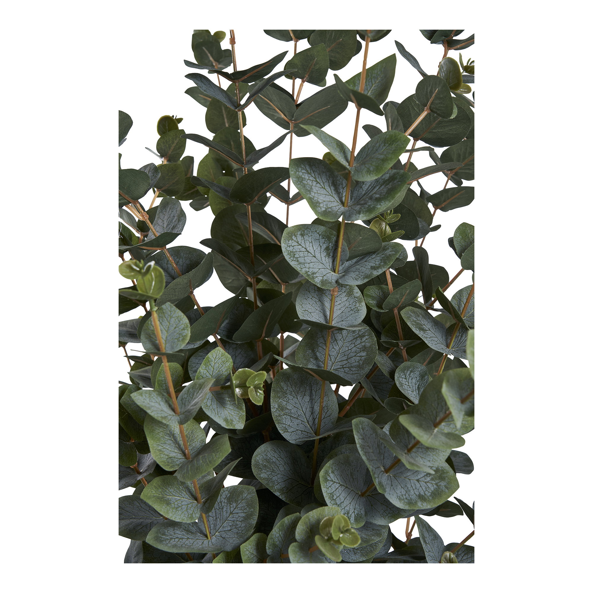 Eucalyptusboom Kunstplant
