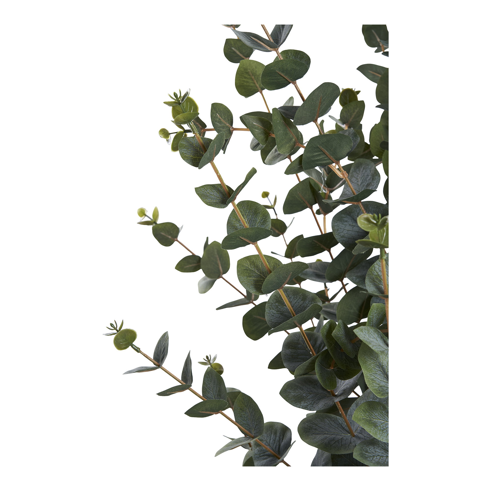 Eucalyptusboom Kunstplant