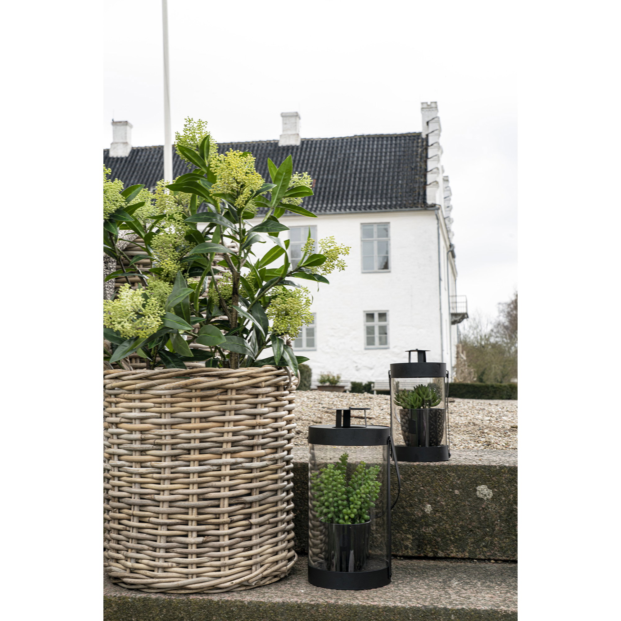 Skimmia Kunstplant
